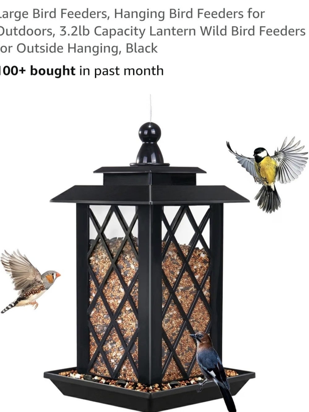 Black Hanging Lantern Bird Feeder - Outdoor Seed Feeder